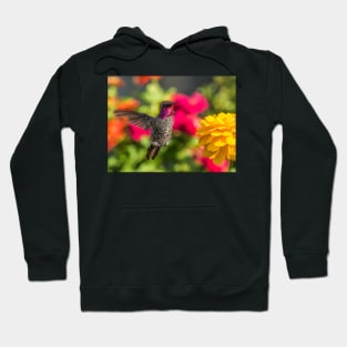 Male Visitor Hoodie